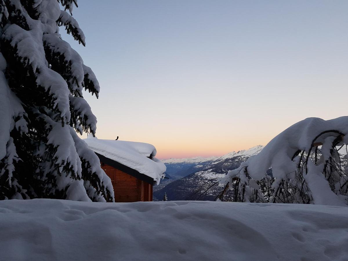 Chalet Bietschhorn Rosswald Termen Eksteriør billede