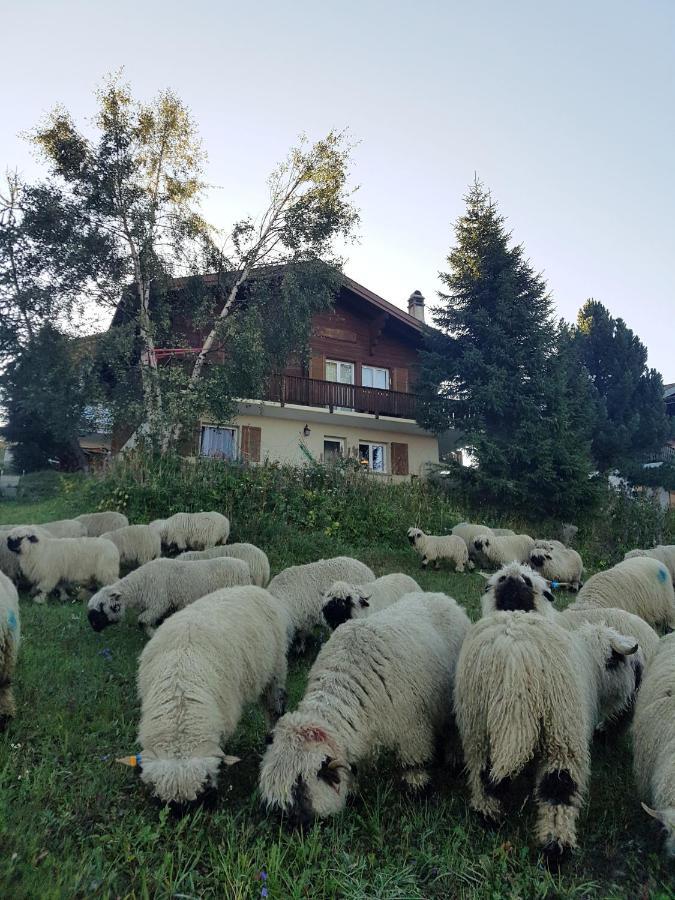 Chalet Bietschhorn Rosswald Termen Eksteriør billede